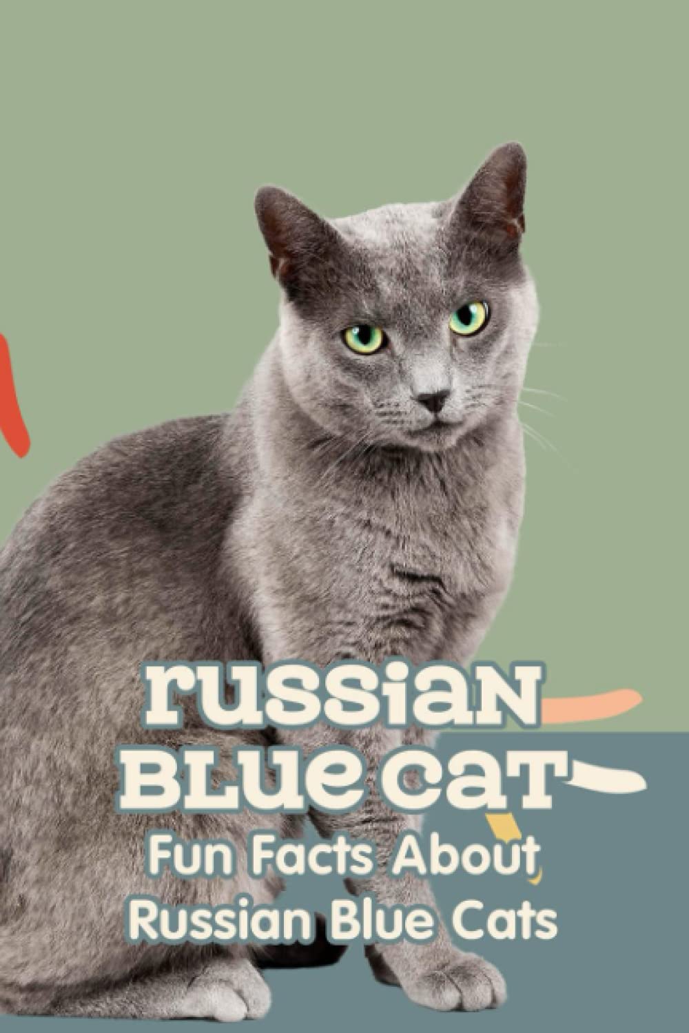 Russian Blue Cat: Fun Facts About Russian Blue Cats
