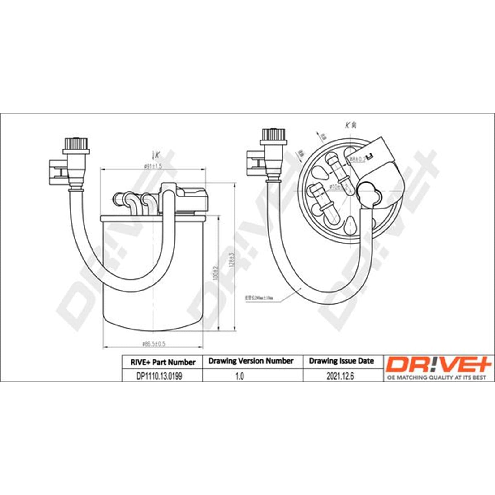Dr!ve+ Filtro carburante DP1110.13.0199