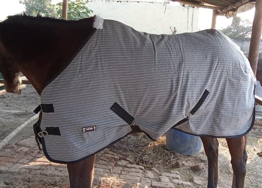 Horse Winter Blanket Canvas And Polar Fleece Lining (185 Cm),Multi Colour-image-41