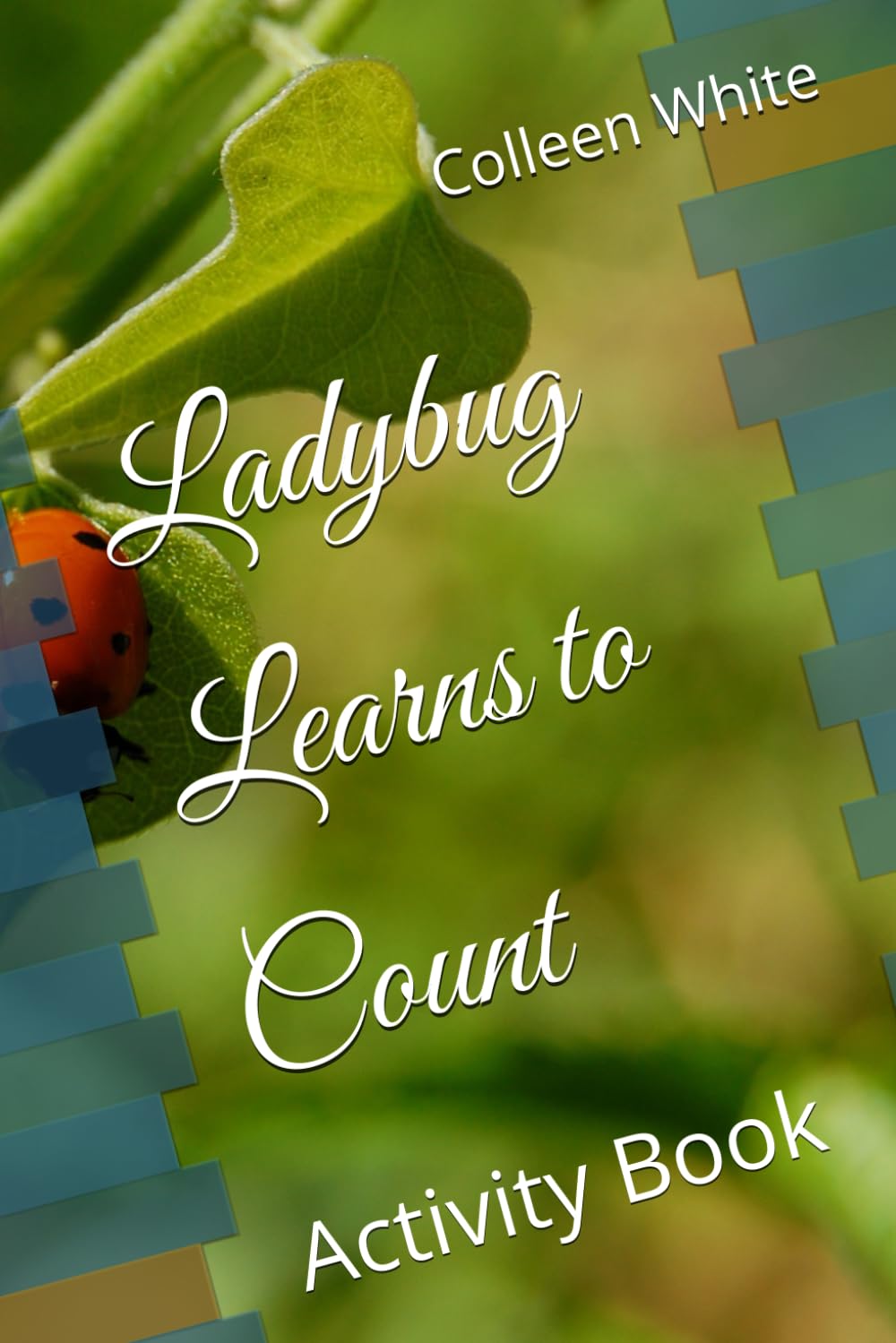 Ladybug Learns to Count: Activity Book