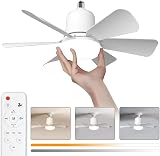 himmel Ceiling Fan with Light, 30 W Ceiling Lamp with E27 Socket, Dimmable LED Ceiling Fan for Bedroom, Living Room, 3 Speed, 6 Blades (White) - 1
