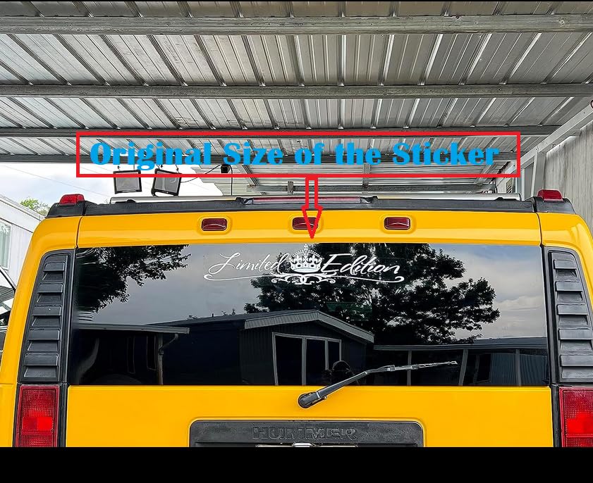 Divertida Calcomanía De Medusa Para Auto, Ventana O Camión 3 | Cuotas Sin Interés