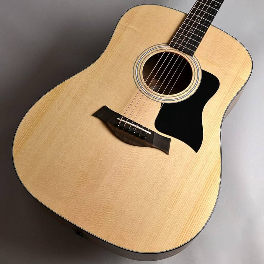 アコースティックギター○テイラー/Taylor○【110