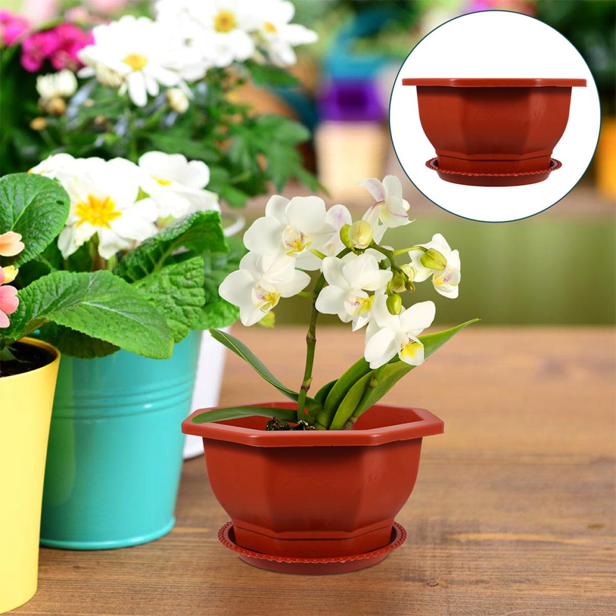 Housoutil Lot de 5 Jardinières Octogonales Rouges Épaisses Drainage Pots de Fleurs pour Plantes Grasses et Cactus Pots en Plastique pour Jardin D'intérieur et Balcon et Réutilisables