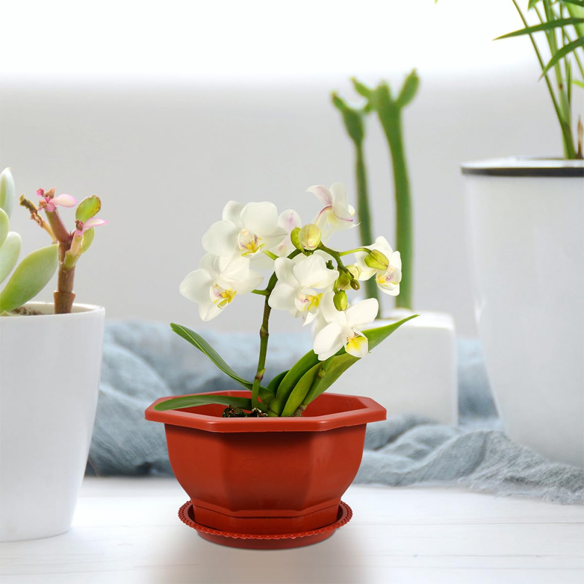 Housoutil Lot de 5 Jardinières Octogonales Rouges Épaisses Drainage Pots de Fleurs pour Plantes Grasses et Cactus Pots en Plastique pour Jardin D'intérieur et Balcon et Réutilisables