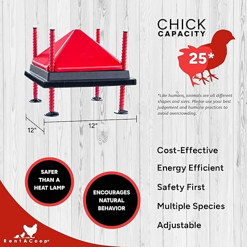 Miniatura 2 de RentACoop Juego de placa calefactora y cono anti-gallo - Placa de calor para criadores calienta hasta 20 pollitos - Calentador de pollitos con 25