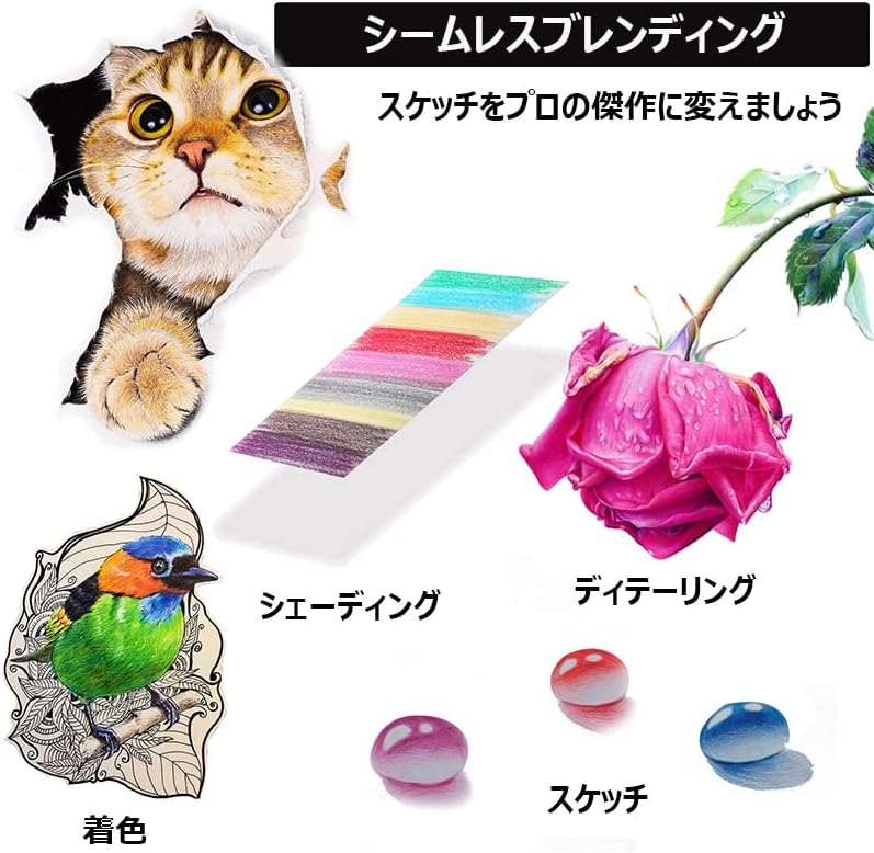 Amazon スケッチ鉛筆 51セット 鉛筆セット デッサン鉛筆 紙ペン 消しゴム 鉛筆ケース 紙ヤスリ 素描 美術 美術系学生 カッター図面 鉛筆削り 筆箱 画材セット 51 色鉛筆 文房具 オフィス用品