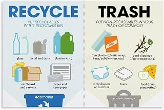 Single Stream Recycling Guide Art Poster Waste Sorting Chart (16) Canvas Painting Posters And Prints Wall Art for Living Room Bedroom Decor 12x08inch(30x20cm) Unframe-style