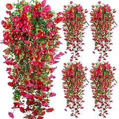 Light Purple Pink Morning Glory