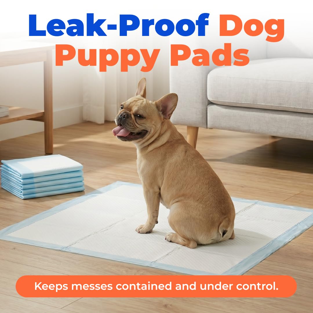 Best Pet Supplies Assorbenti usa e getta per cuccioli e cani da addestramento, confezione da 100, ultra assorbenti, resistenti alle perdite e senza traccia, per animali domestici al coperto,