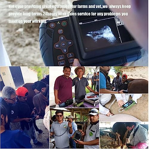Dawei Vet Ultrasound Machine Portable Veterinary Handheld Scanner B-Ultra Sound With 3.5Mhz Probe For Pregnancy Pig,Sheep,Dog,Cat Use thumb #7