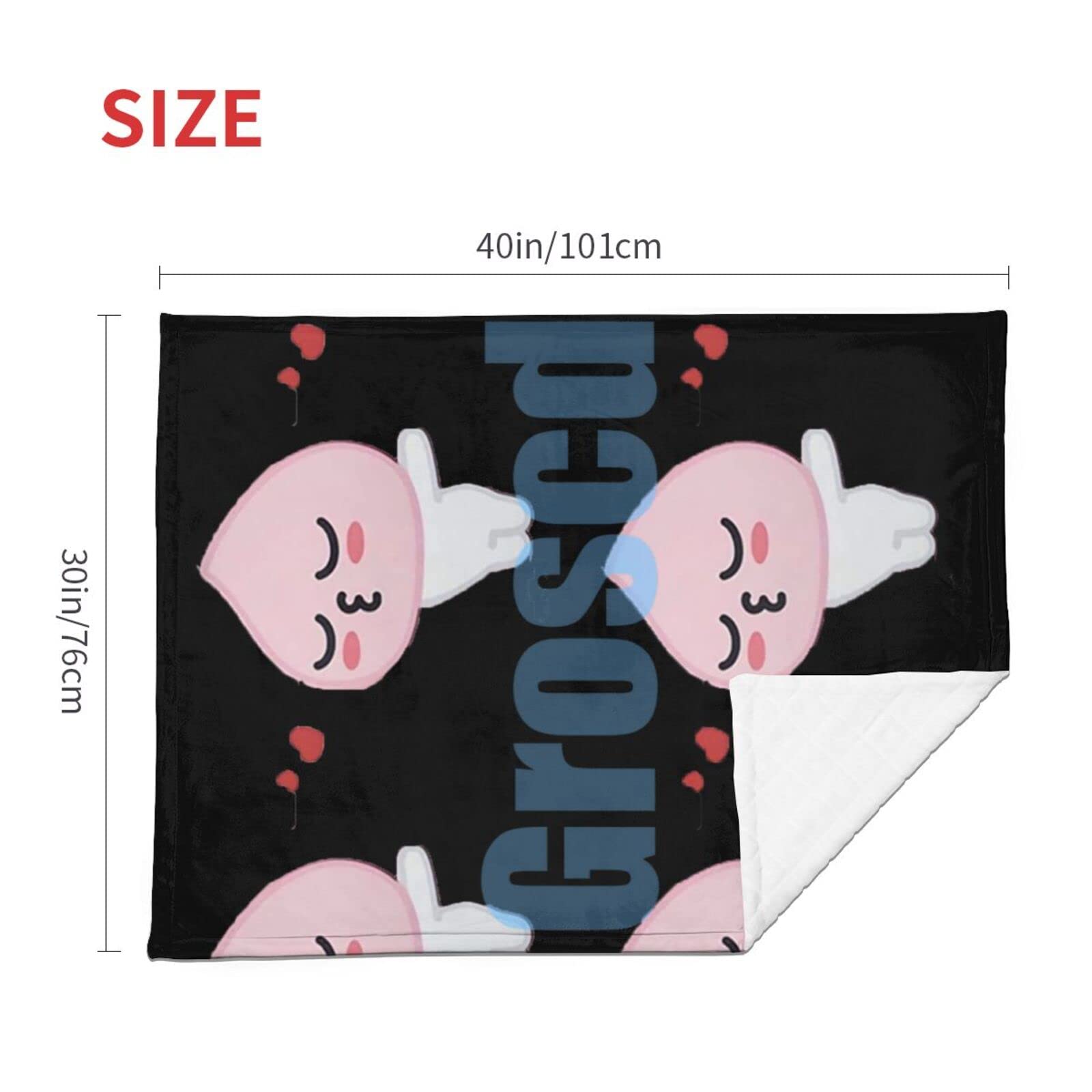 カカオフレンズ 着るブランケット 新品未開封 カカオフレンズ 着るブランケット 新品未開封の通販 by りょう's