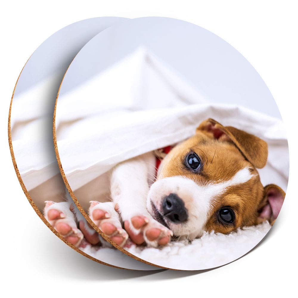 Destination Vinyl Ltd Multicolor 2 X Round Coasters - Jack Russell Terrier Dog Puppy Animals - Cork Backed Home Kitchen Accessory Tea Coffee Mug Mat #8286