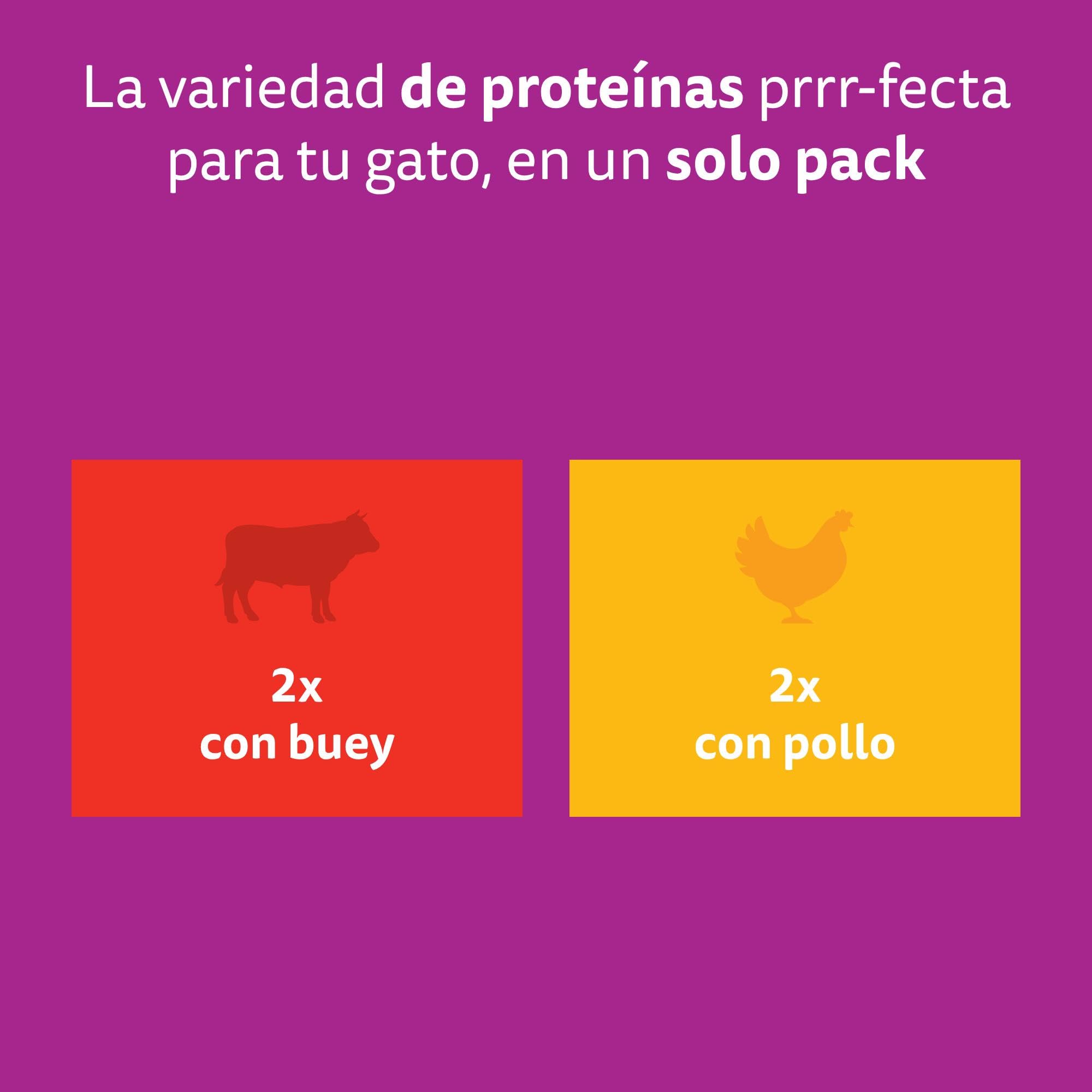 WHISKAS Duo Comida húmeda en Salsa Gatos júnior Comb. clásicas - 13 x 4 bolsitas x 85g