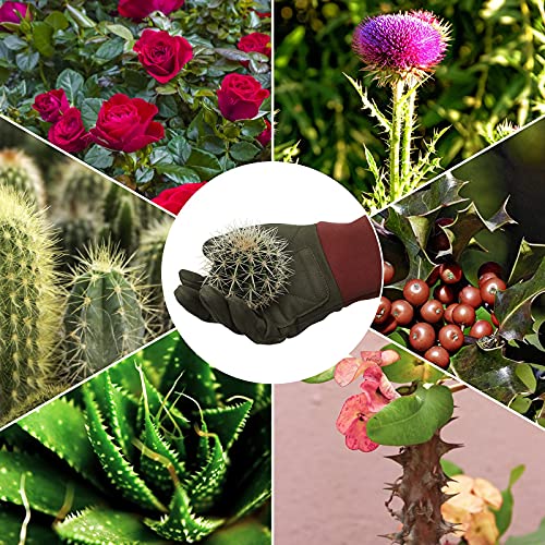 Barst Long Sleeve Gardening Gloves, Synthetic Leather Rose Pruning Gloves Thorn & Puncture Resistant Floral Gauntlet Garden Glove With Adjustable Cuff For Bushes Cacti Medium #TOP3