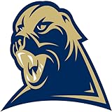 Pittsburgh Panthers Football Videos