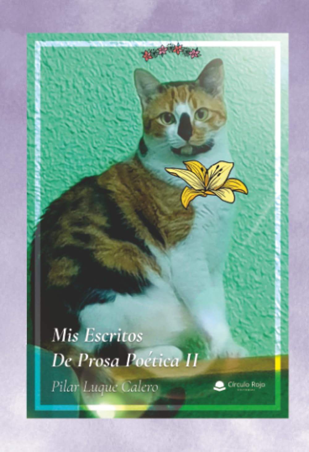 Mis Escritos De Prosa Poética II