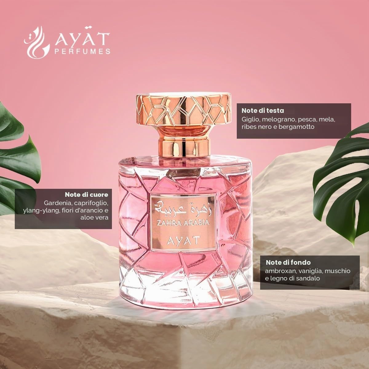 Ayat Perfumes - Jumra Collection – Profumo Arabo di Dubai 100 ml Eau de Parfum – Fragranza Orientale di Lusso a Lunga Persistenza – Unisex – Varianti Disponibili (Faris & Zahra)