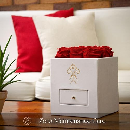 Miniatura 5 de Premium Roses  Model Posh Pink Roses  Flores frescas para entrega Prime que duran 365 días  Rosas rojas en una caja conservadas naturalmente  Flores