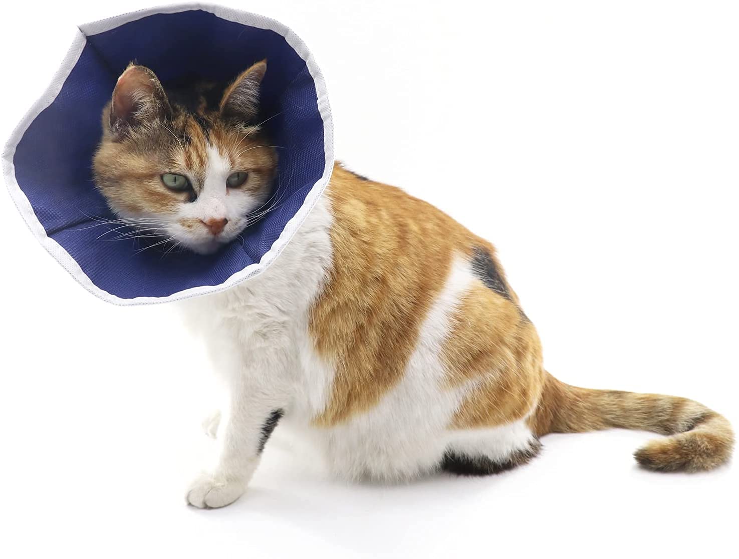 Happy Pet -Pethouzz Soft Cat Recovery Collar, Cat Cone Collar, Nonwoven Fabric Elizabeth Collar, Loops-Protective Wound Healing Specially Designed for Cats - Easy for Cats to Eat and Drink