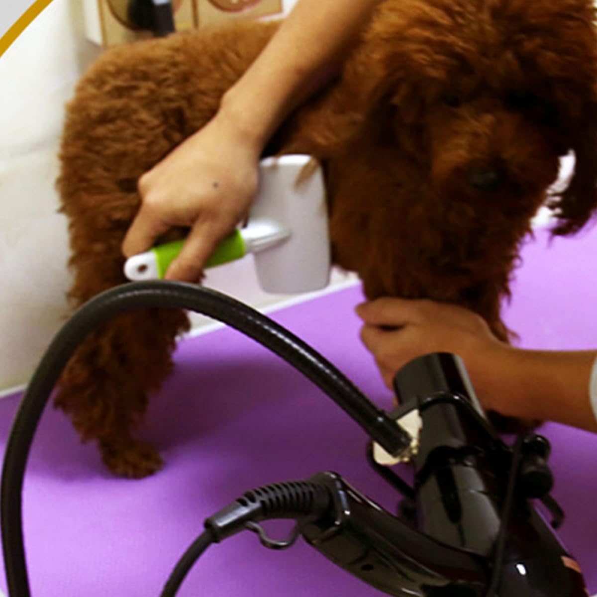 Soporte para Secador de Pelo de Encimera Negro de Acero Inoxidable Diseño Resistente y Ahorro de Espacio para Escritorio en Aseo de Mascotas