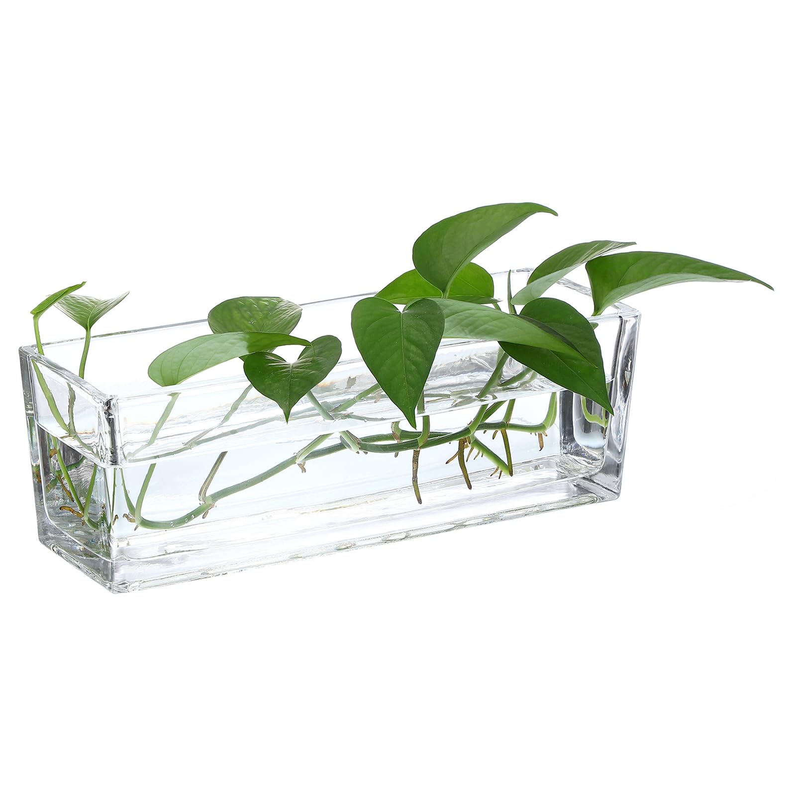 PATIKIL Rectangular Glass Vase 12x4x4 Inch, 1 Pcs Clear Planter Terrarium for Wedding