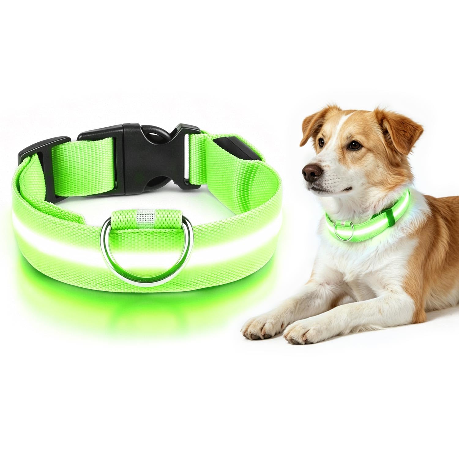 KixMalkinly LED Dog Collar,USB-Rechargeable Light Up Dog Collar(Green,M)