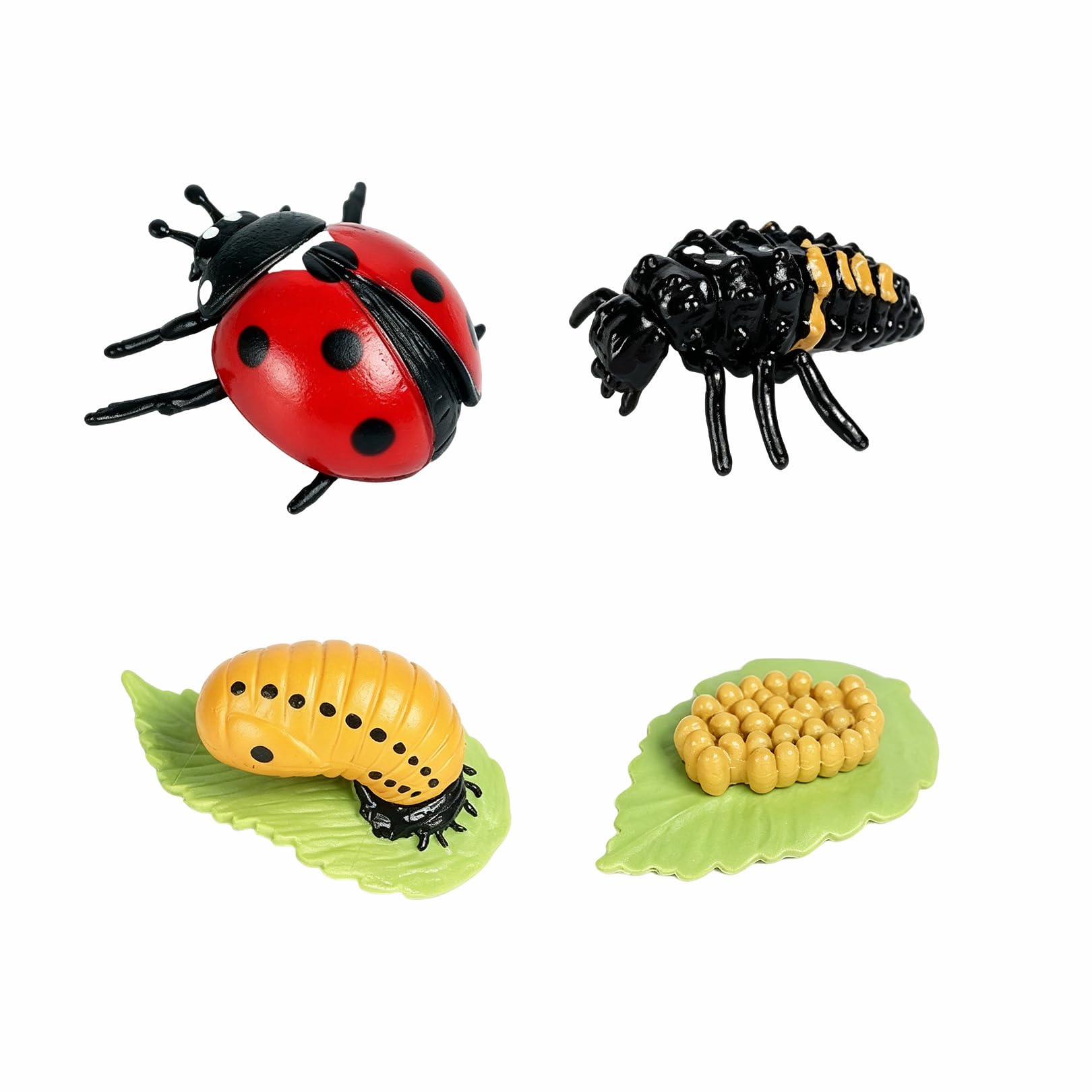 4 Pcs Plastic ladybird Life Cycle Set,Realistic Animal Figurines Model Kit,Miniature Simulation Growth Education,Tadpole to Adult Amphibian Figures Learning Gift,for Bonsai Pot Micro Landscape Decor