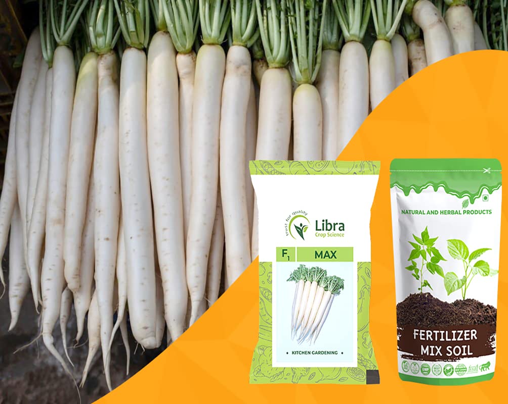 Muli Seeds for Planting | Radish | Farming | Home | Garden | Kitchen | Vegetable | Hybrid | Terrace | Balcony | Eating | Mula | Mulia | Mooli | Mullangi | White Mooli - 10 Gram : 834 Seed (B0B2W33497) Amazon Price History, Amazon Price Tracker