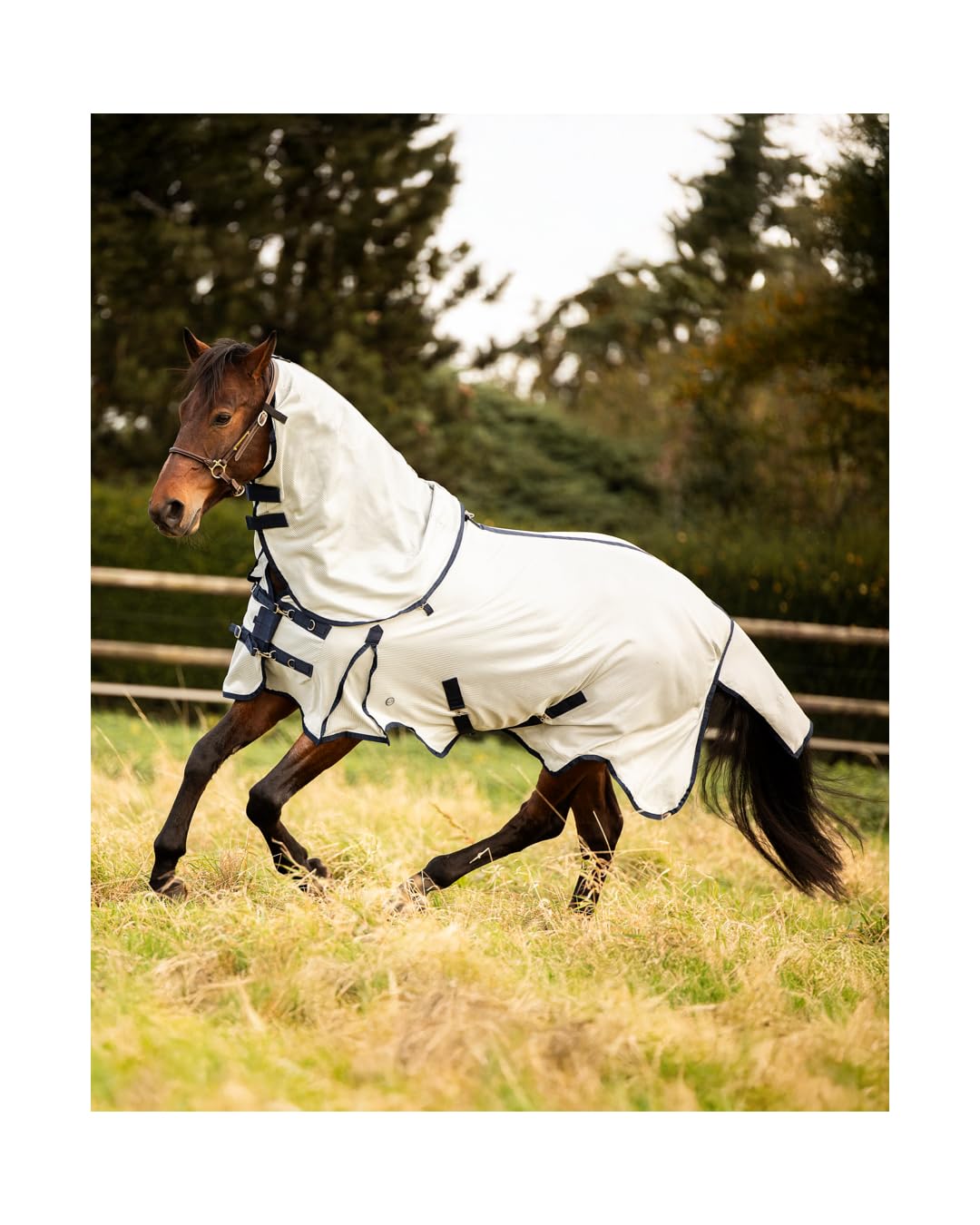 4Horses Fliegendecke Multi Defender, atmungsaktive Pferdedecke mit UV-Schutz, Insektenschutz, abnehmbarem Halsteil und Kreuzbegurtung