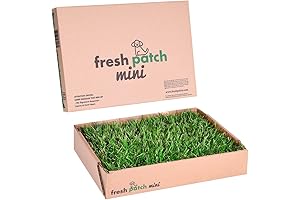Fresh Patch - Green Solution for Your Furry Friend