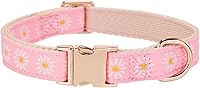 Vista 60 de Collar de Algodón Suave para Perro con Hebilla de Metal Ajustable de Servicio Pesado Cómodo Collares de Pana para Perros Pequeños, Medianos