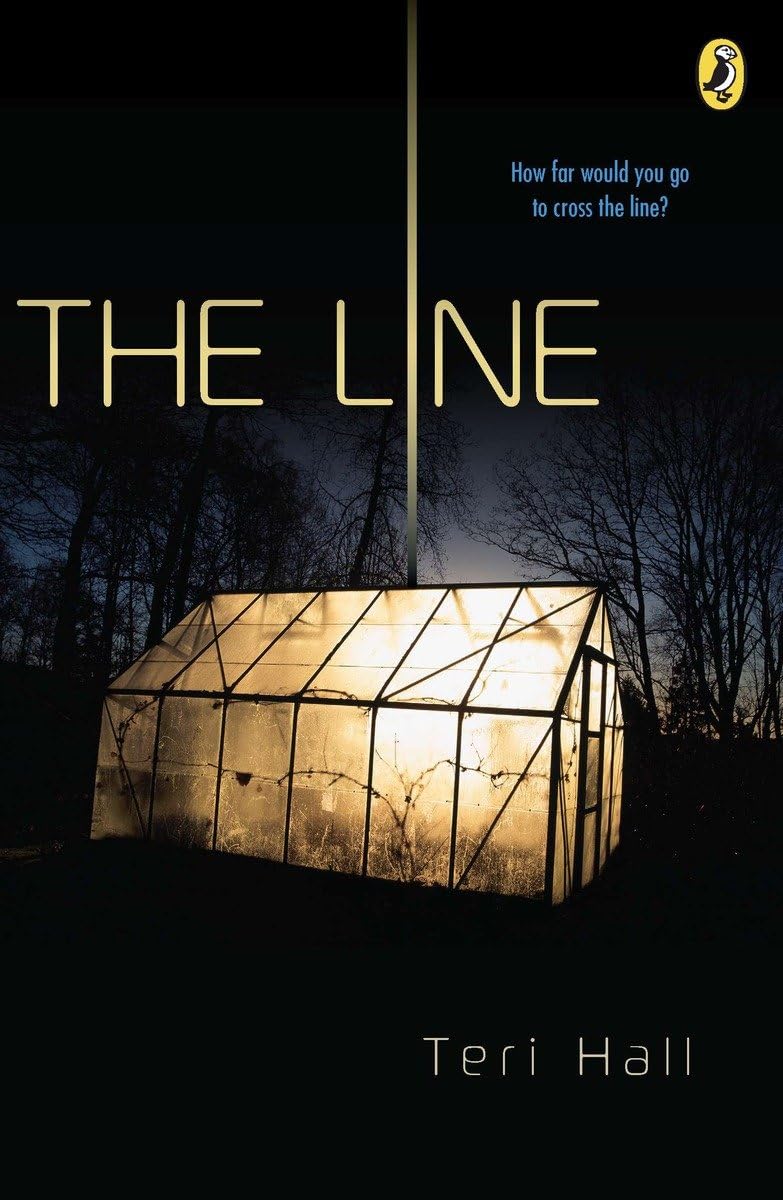 The Line view 3