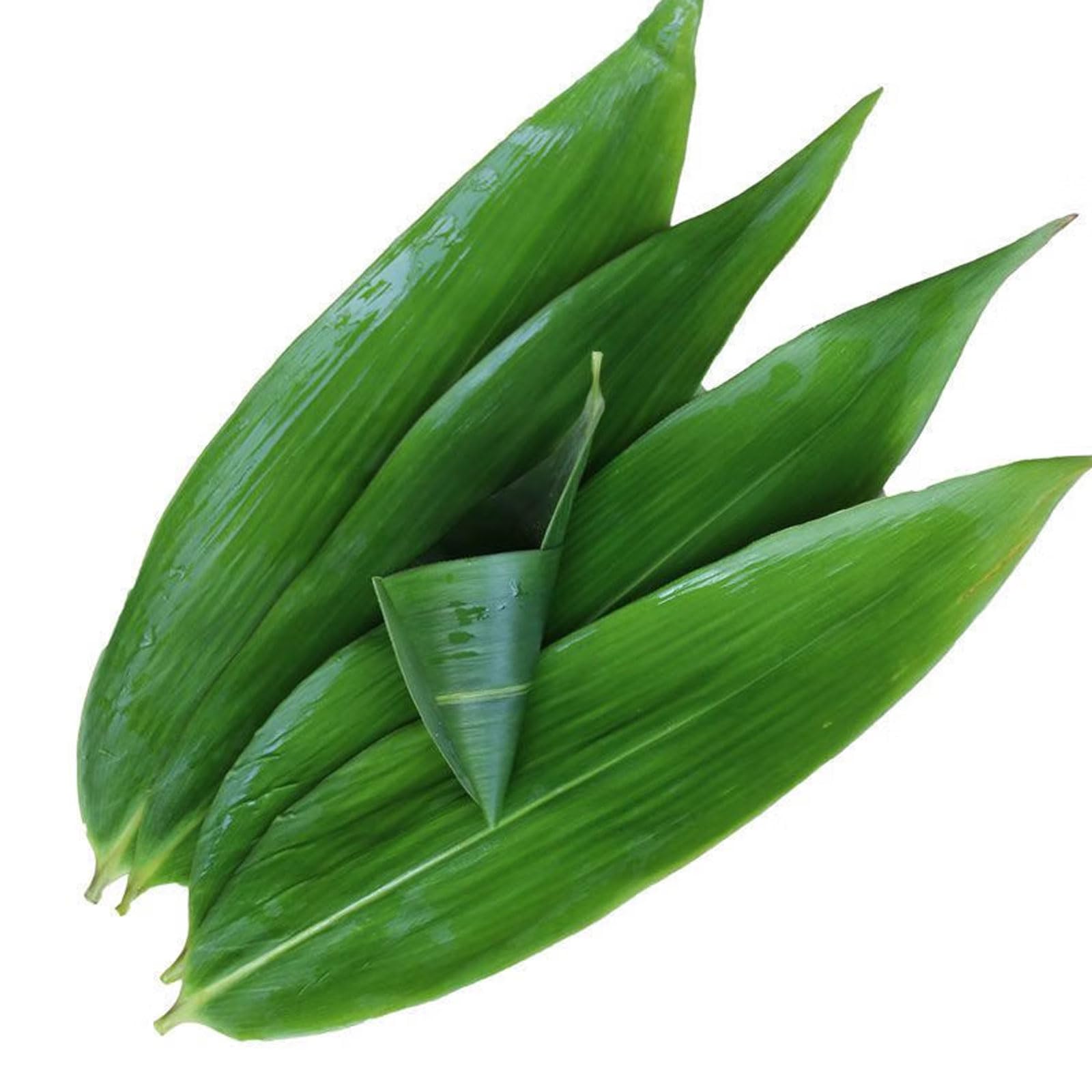 fresh banana leaves(100 pcs, 13" L x 3.2" W) ,Fresh Banana Leaves for Cooking ,bamboo leaves suit Sushi making, Zongzi