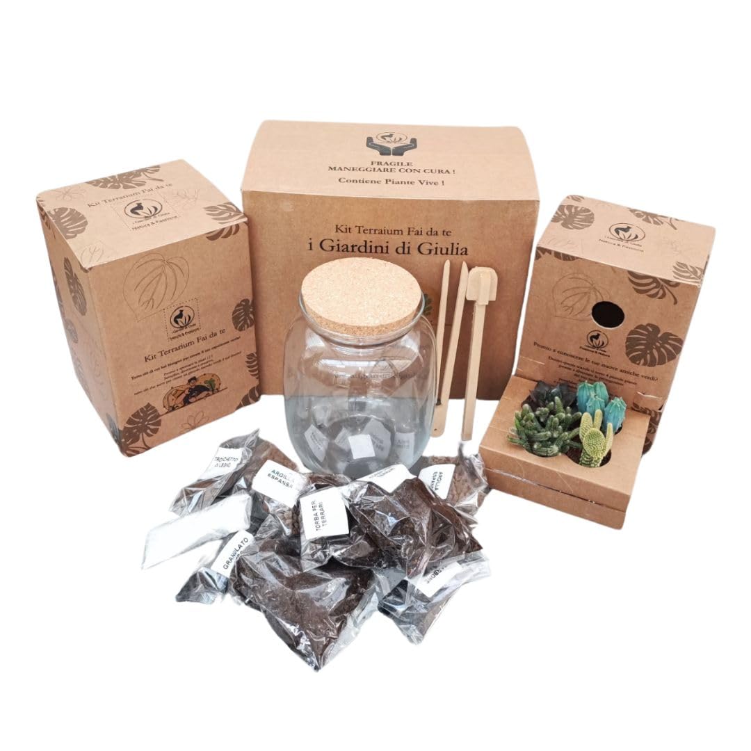 Kit Terrarium Fai da Te per Piante Grasse - I Giardini di Giulia - Completo di Vaso in Vetro, Tappo in sughero, Piante Succulente, accessori, substrati ed elementi decorativi