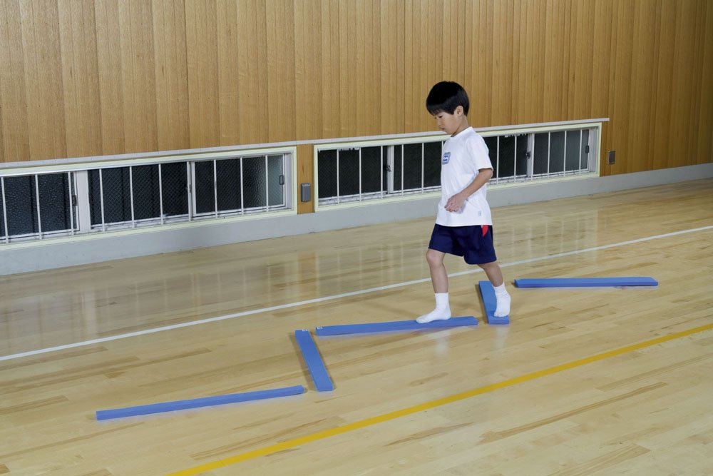 DANNO バランスボード Amazon | ダンノ(DANNO) ソフトバランスバー 5本1組 D3634 | DANNO