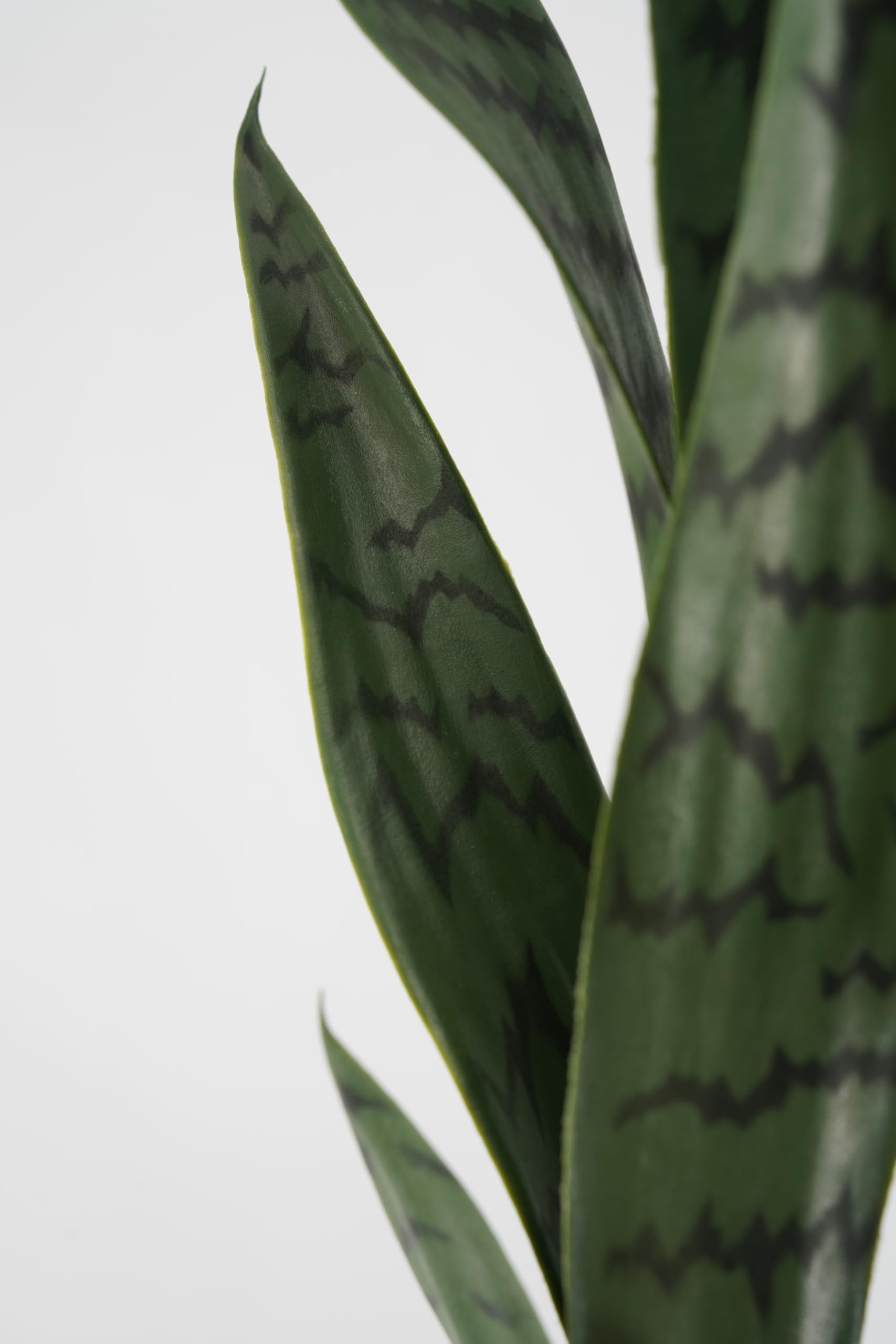 Sansevieria Artificiale Pianta Grassa Sintetica Realistica Foglie in Pvc per Arredare Interni e Attività Commerciali (Saveria - Sansevieria 66 cm)