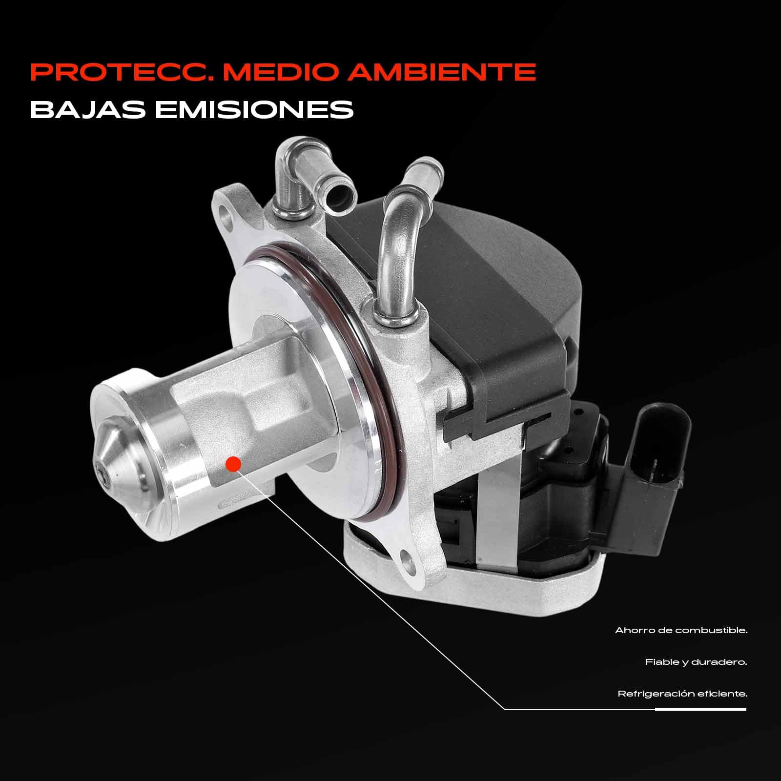 Frankberg Válvula EGR 6401400760 | Compatible con: Clase B W245, Clase A W169