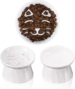 Frewinky Ceramic Slow Feeder Cat Bowls,Slow Feeder Dry/Wet Food and Water Bowl Set for Cats and Small Dogs,Elevated-Cat Slow Feeder,Set of 2