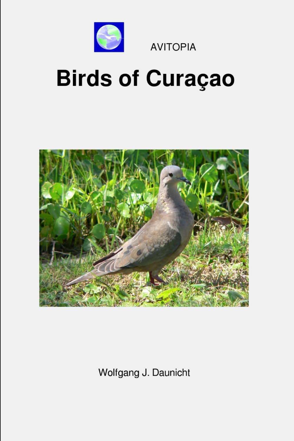 AVITOPIA - Birds of Curaçao