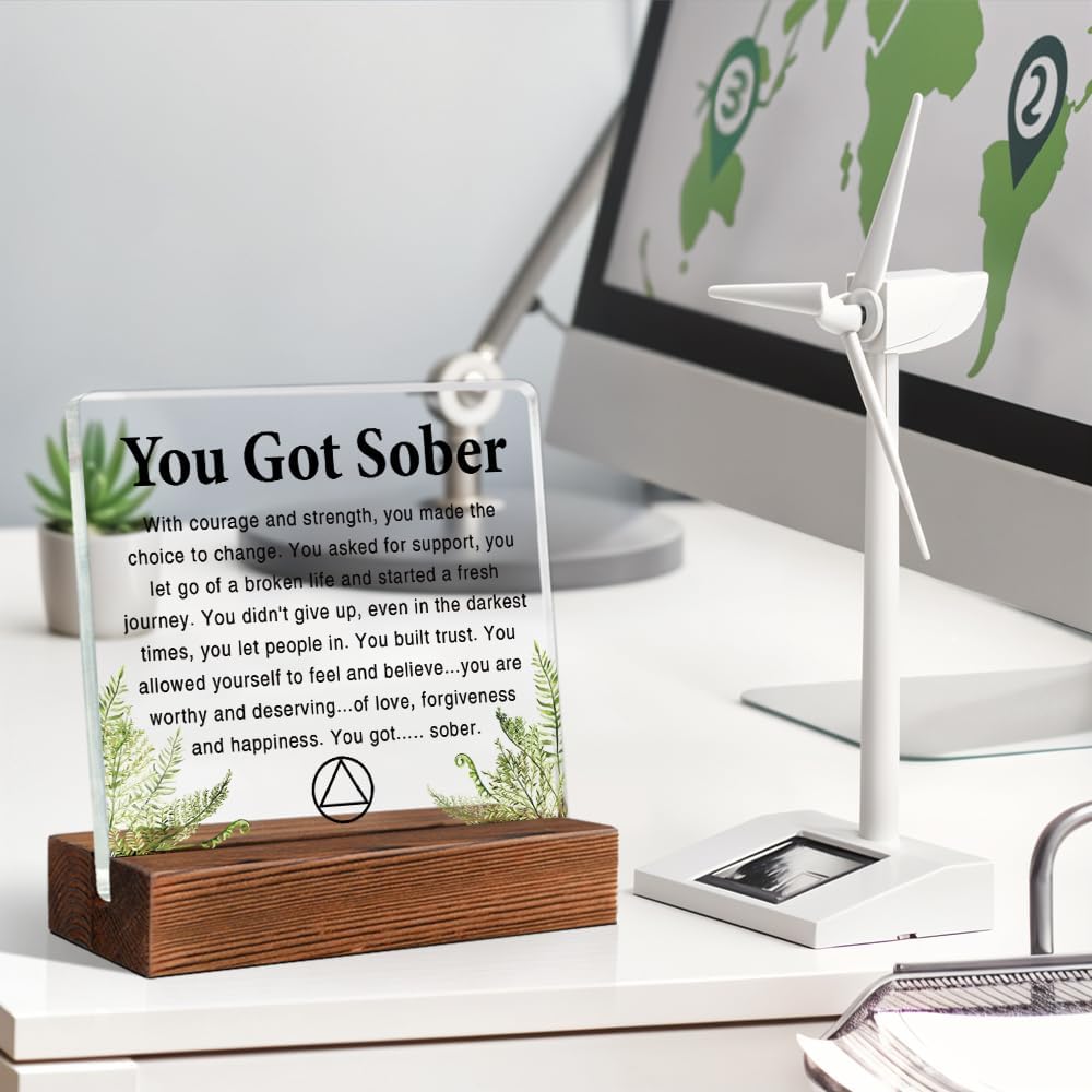 TOUNER Inspirational Power Quotes Office Decor Sign, Positive Quote Plaques Gifts for Women Mom Grandma Aunt Sister BFF (lucency058) - Image 4