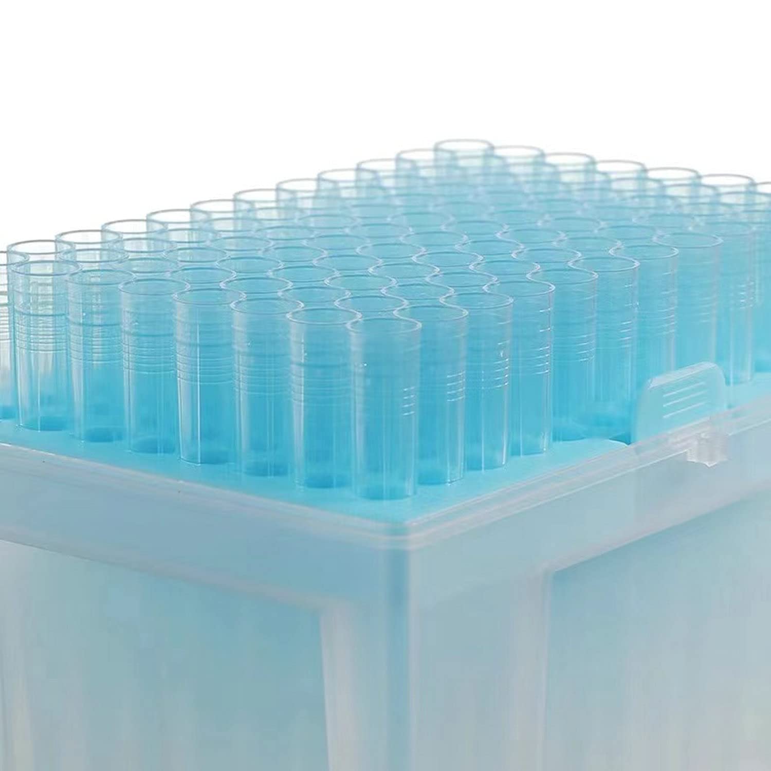 Puntali per pipette universali da 1000 ul, senza rnasi/DNase e pirogeno, trasparenti, 100 punte/rack (confezione da 1000 punte) (blu)