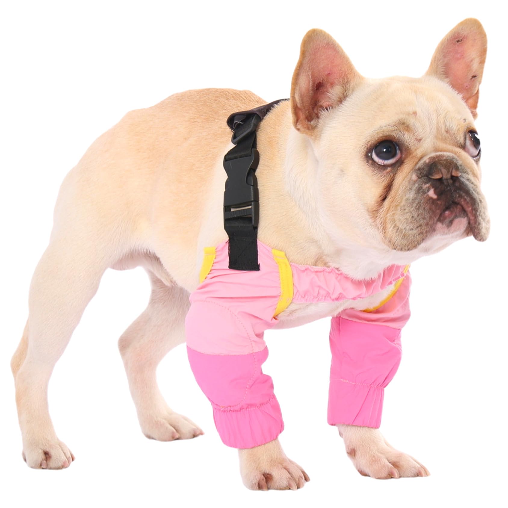 PetWarm Dog Leg Sleeves, Waterproof, Elbow and Knee Protector, Pink, XL