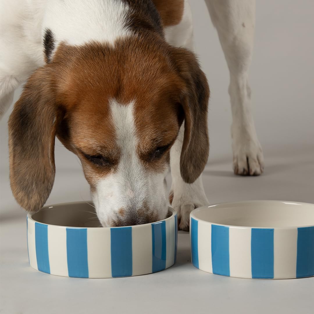 Amalfi Striped 2 Piece Dog Bowl Food & Water Bowl Set - Blue - 15cm