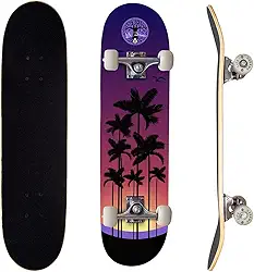 Skate Montado Completo Street Semi Profissional PRO-1 Maple Roxo Sunset Beach 100KG Life Dreams