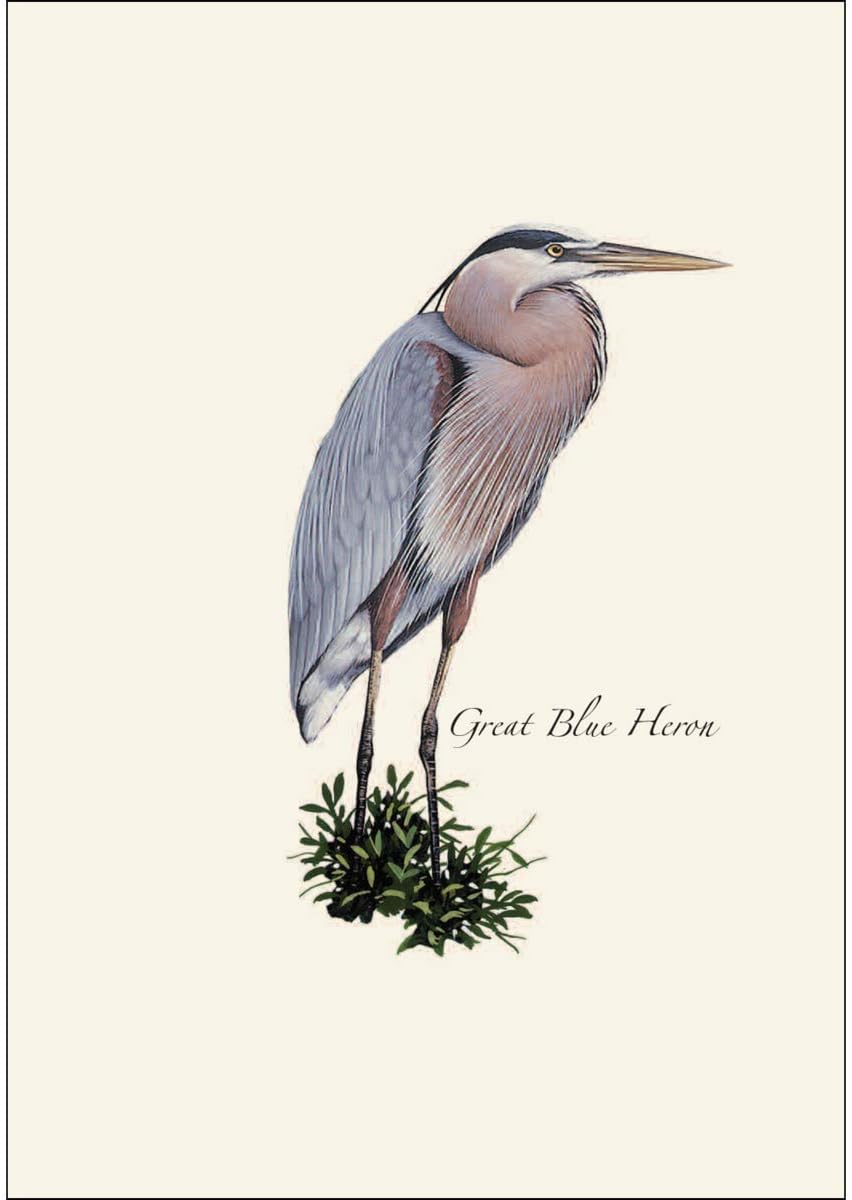 Earth Sky + Water - Heron Assortment Notecard Set - 8 Blank Cards with Envelopes (2 each of 4 styles)