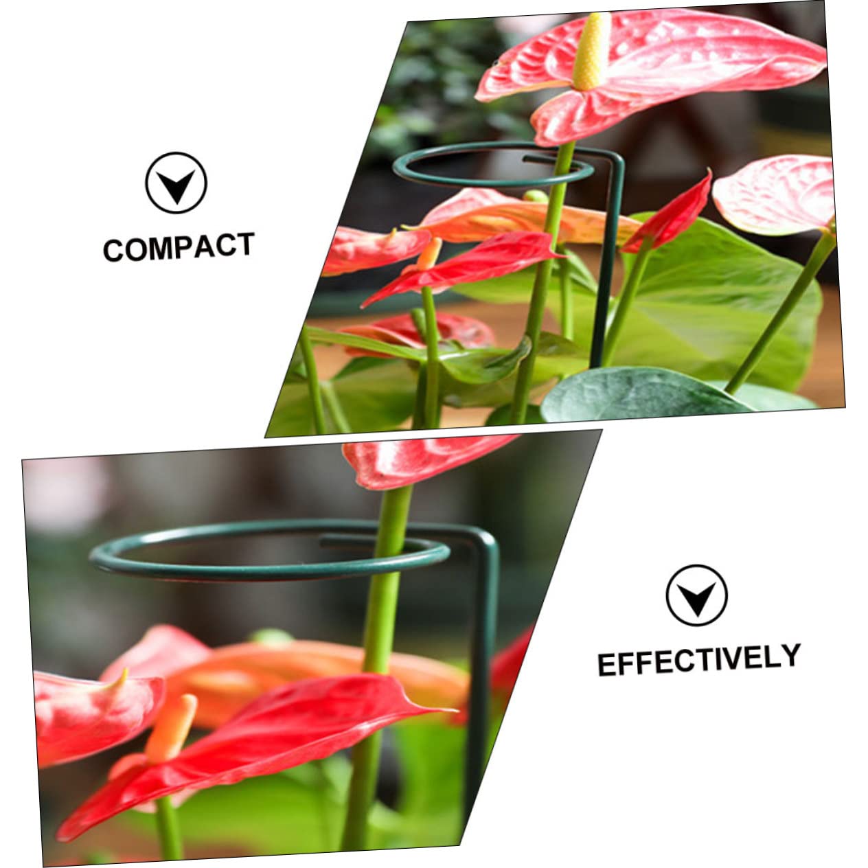 BESTonZON 2 Sätze Schmiedeeisenpflanze -stützrahmen Zimmerpflanzen Gartenpflanzenregale Unterstützung des Blütenstiels Unterstützen Sie Die Blumeneinsätze Blumenstammpfahl Grün 5 Stücke * 2