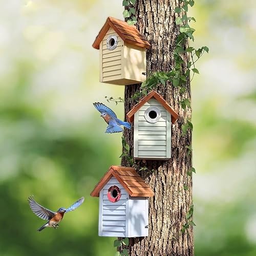 3-Pack Bluebird Bird Houses with Predator Guard