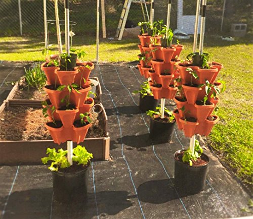 Jardin vertical intérieur/extérieur pour cultiver sans espace au sol - 7