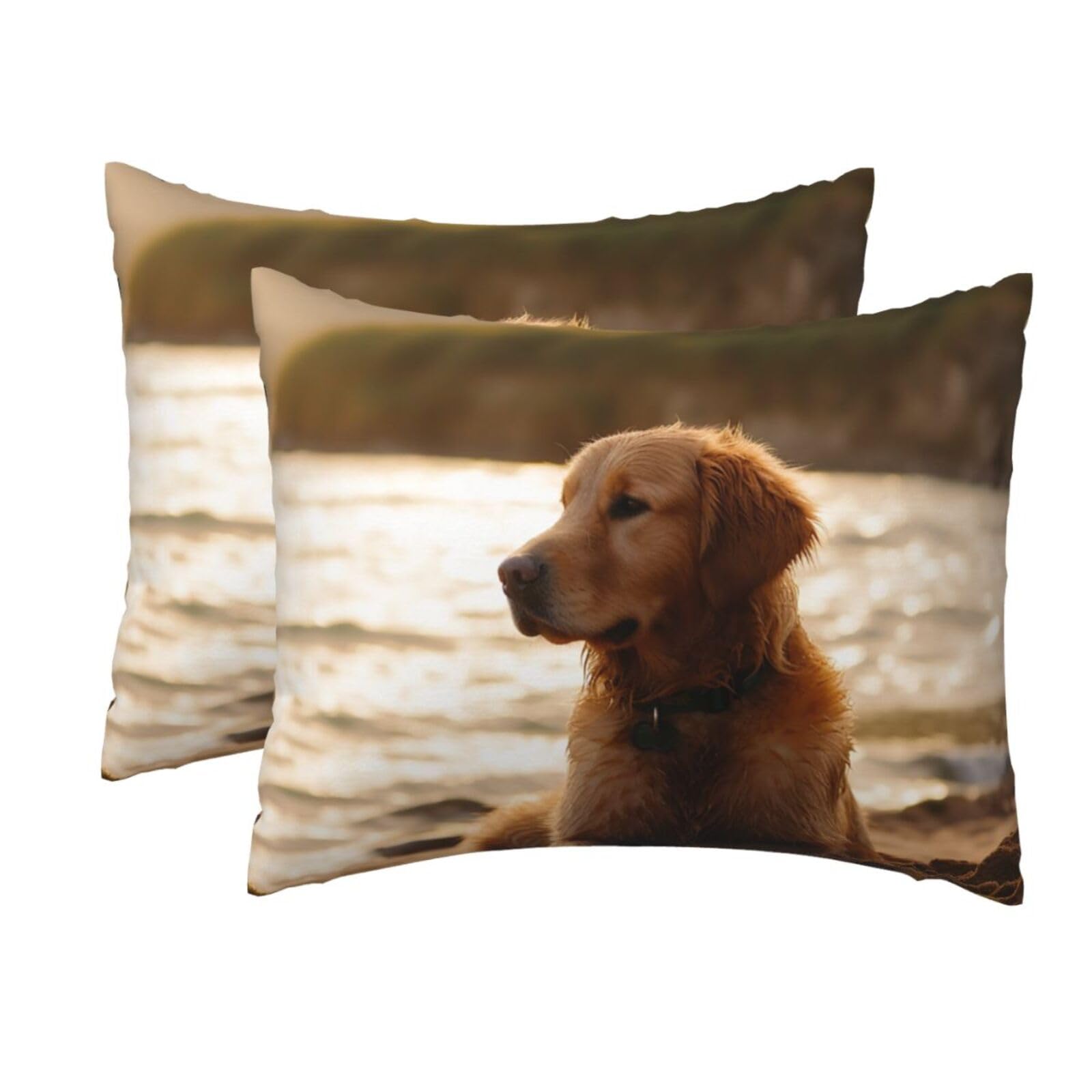 2 Pack Standard Size Pillow Cases for Hair and Skin Soft Breathable Pillow Case Covers with Hidden Zipper Retriever Pillowcase 20x26 Inches Pillow Cover for Sleeping Gift